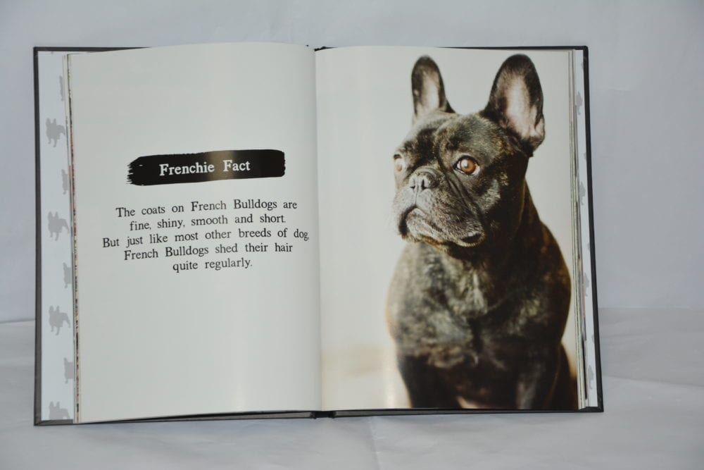 French Bulldog Size And Weight Chart