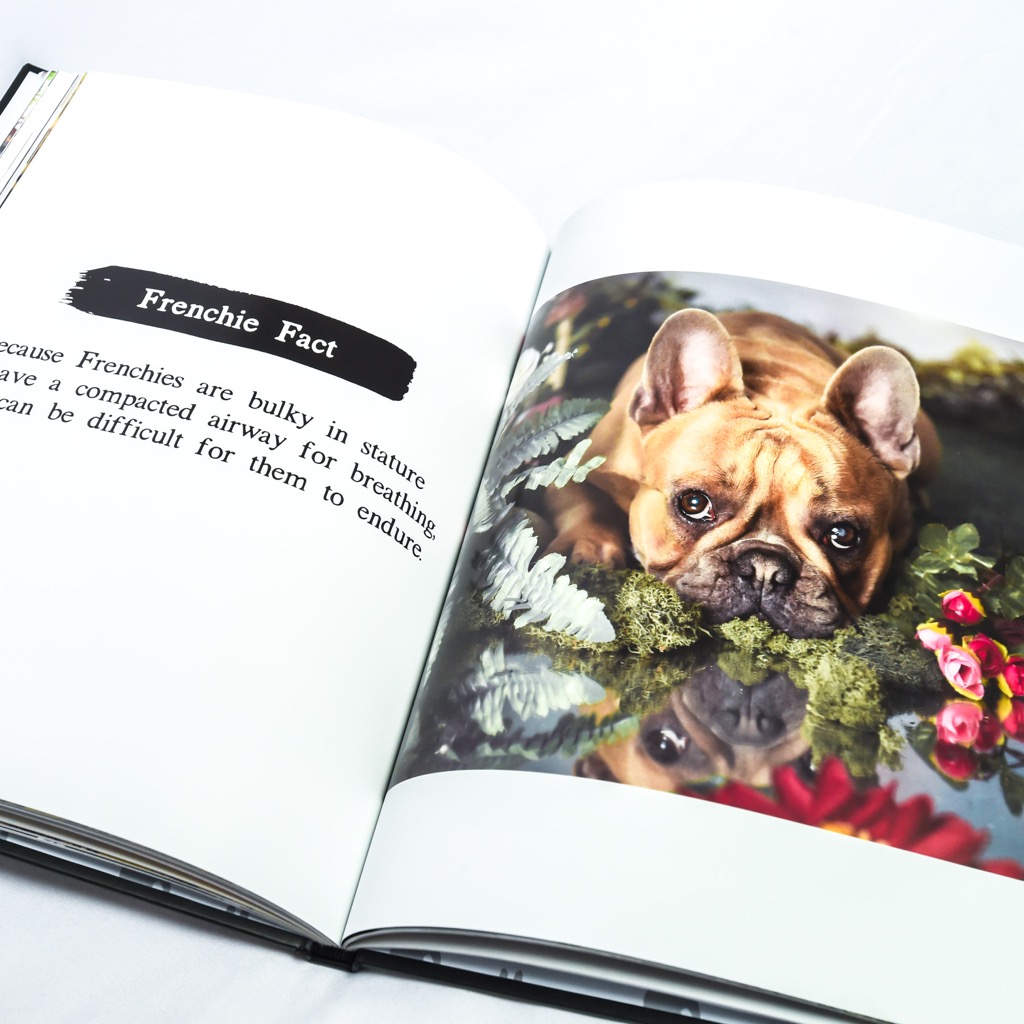 Hardcover Coffee Table Book The Book of Frenchies 