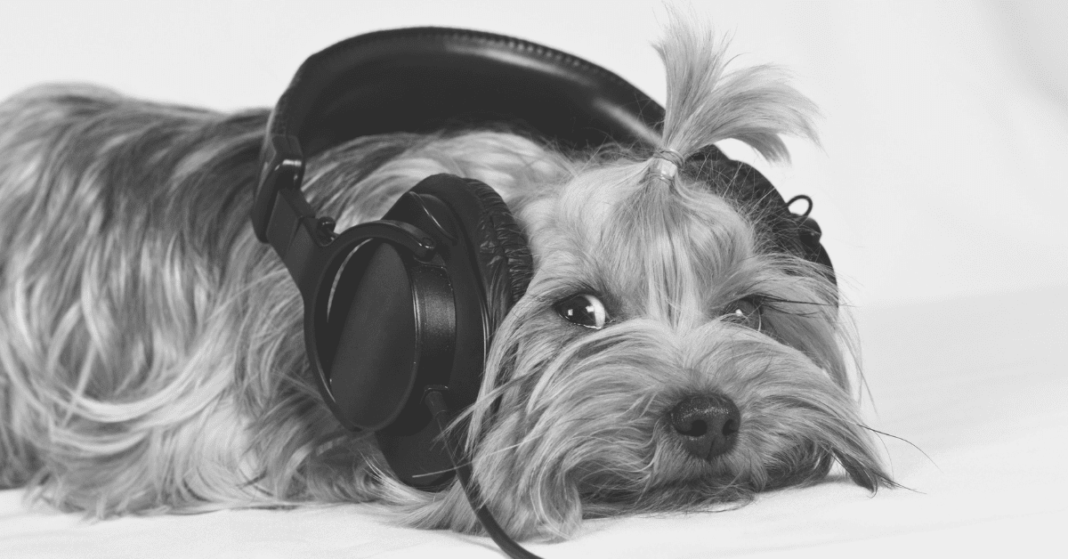 Dog Podcasts - Blog