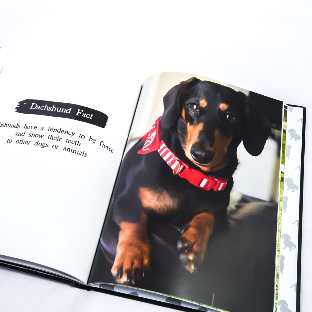 Dachshund Coffee Table Book The Book Of Dachshunds