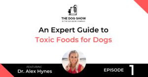 Dog Show - Dr Alex Hynes - Toxic Foods for Dogs - Website