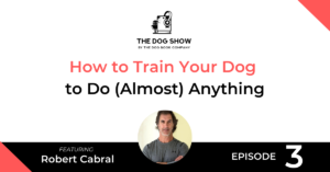 How to Train Your Dog to Do (Almost) Anything with Robert Cabral