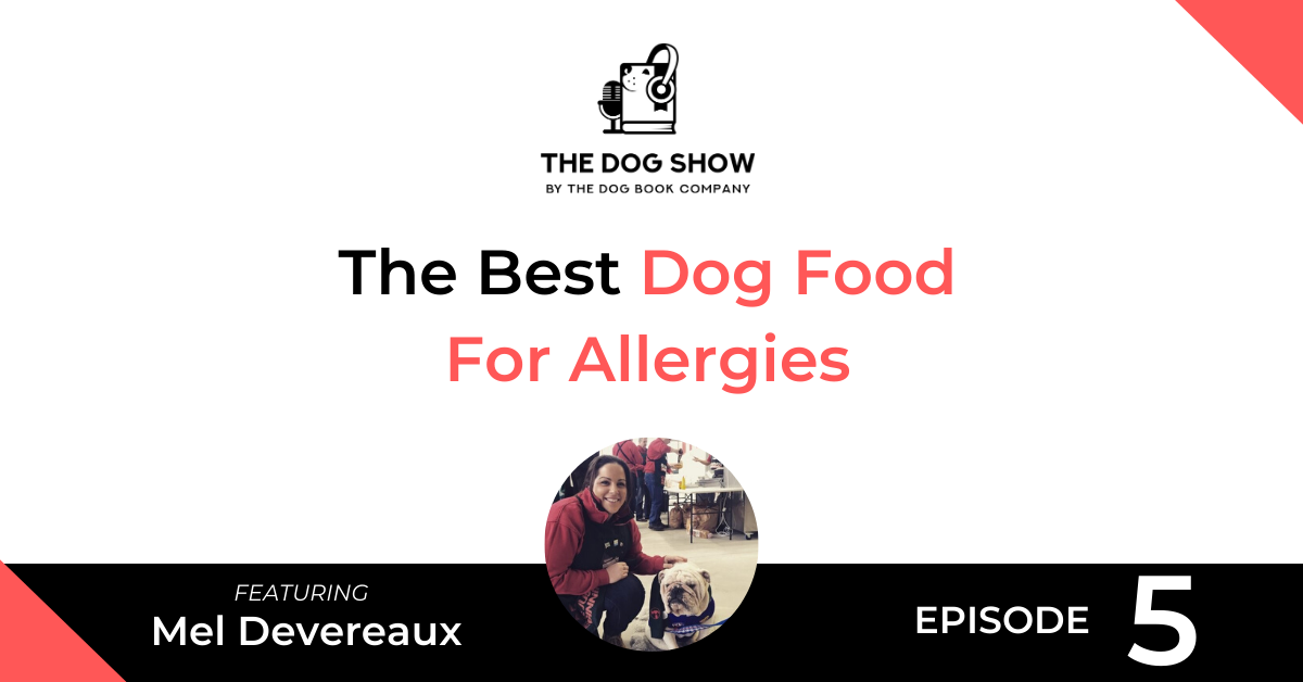 The Best Dog Food For Allergies