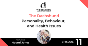 The Dachshund - Personality, Behaviour, and Health Issues