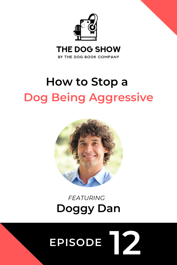 How to Stop a Dog Being Aggressive with Doggy Dan (Episode 12)