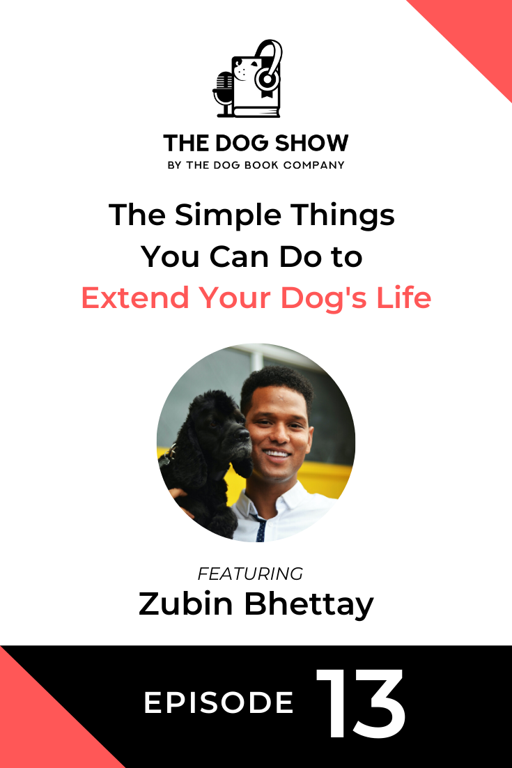 The Simple Things You Can Do to Extend Your Dog\'s Life with Zubin Bhettay (Episode 13)