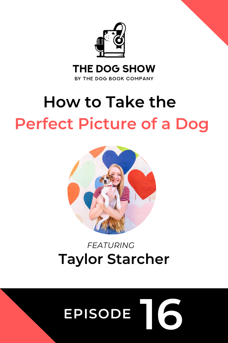 How to Take the Perfect Picture of a Dog with Taylor Starcher (Episode 16)