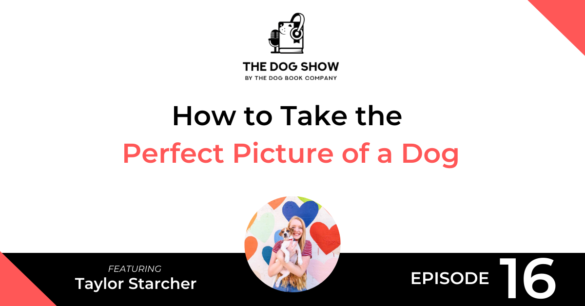 How to Take the Perfect Picture of a Dog with Taylor Starcher