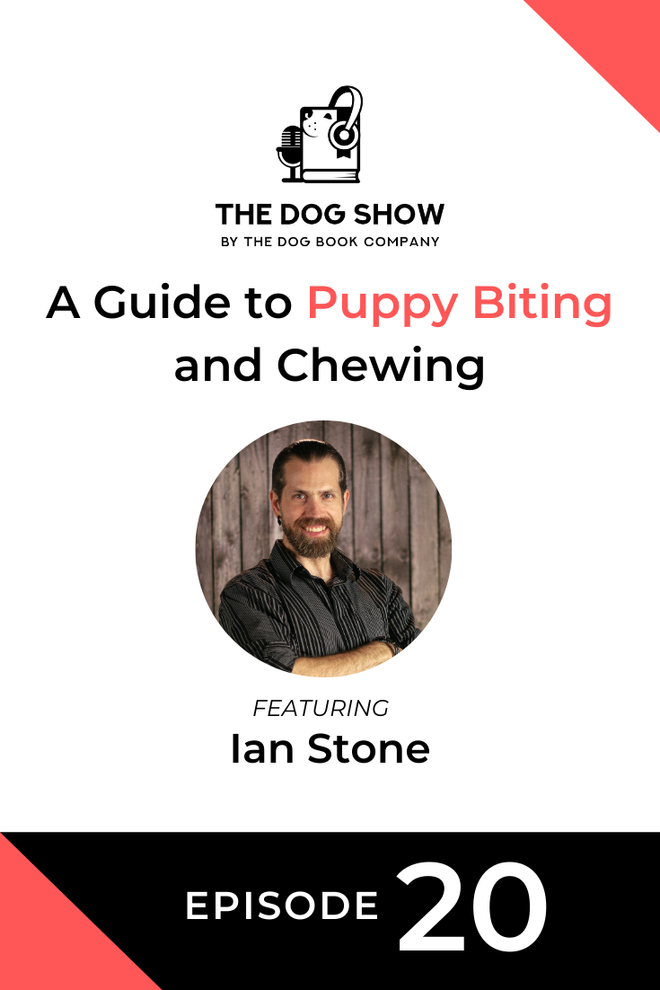 A Guide to Puppy Biting and Chewing with Ian Stone (Episode 20)