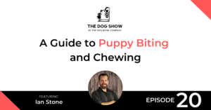 A Guide to Puppy Biting and Chewing with Ian Stone - Website_Facebook