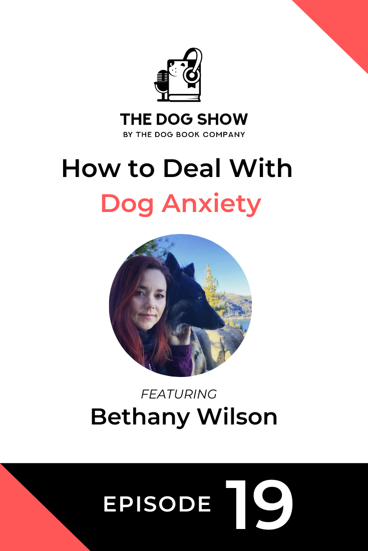 How to Deal With Dog Anxiety Featuring Bethany Wilson (Episode 19)