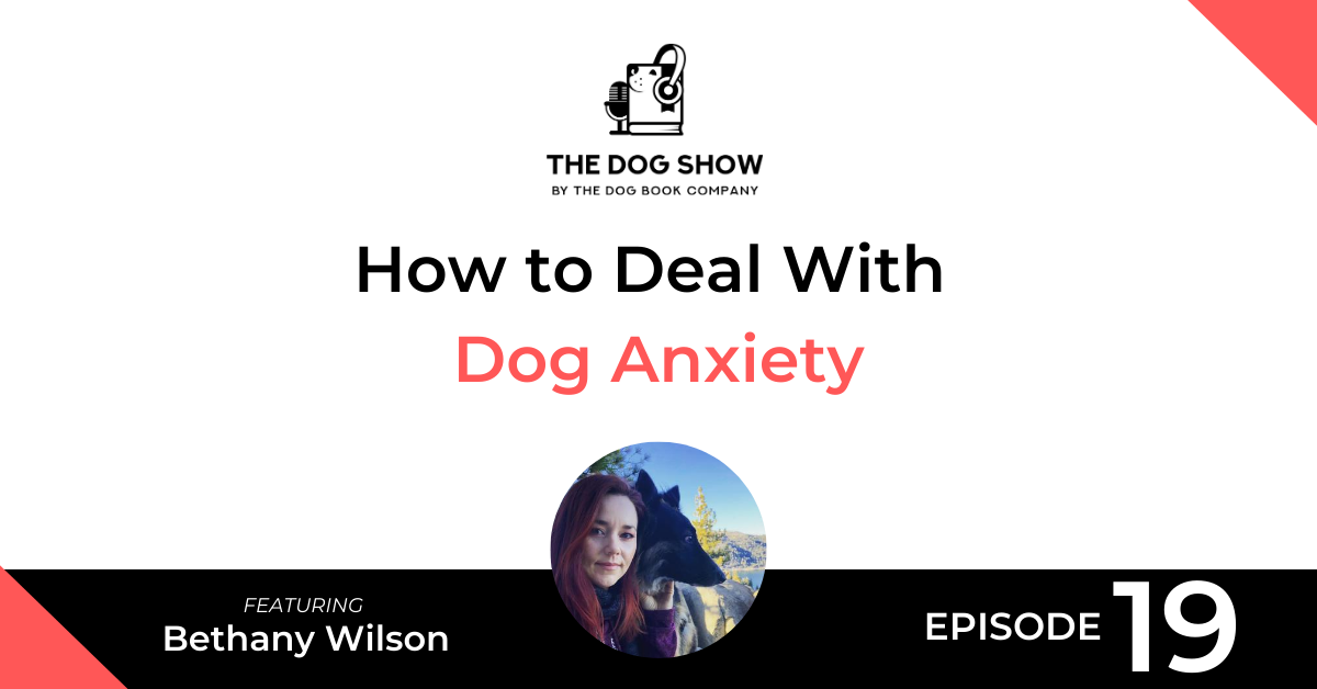 How to Deal With Dog Anxiety Featuring Bethany Wilson