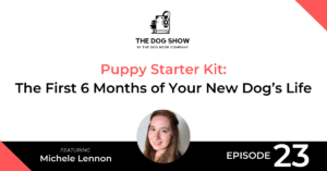 Puppy Starter Kit - How to Handle the First 6 Months of Your New Dog’s Life