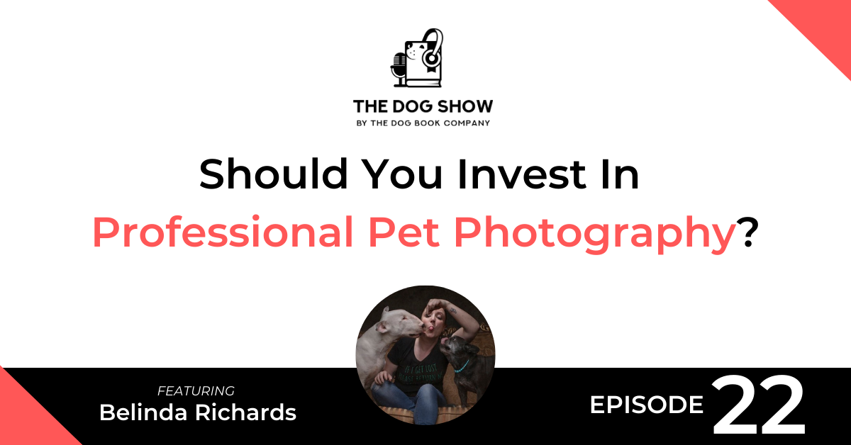 Should You Invest In Professional Pet Photography? Featuring Belinda Richards