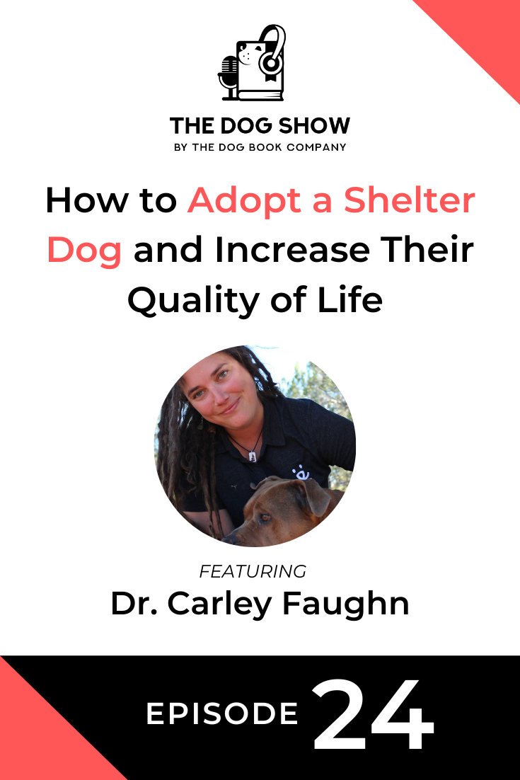 How to Adopt a Shelter Dog and Increase Their Quality of Life with Dr. Carley Faughn (Episode 24)