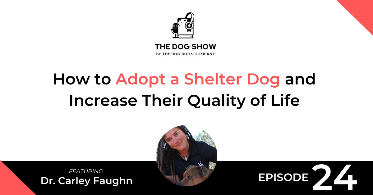 How to Adopt a Shelter Dog and Increase Their Quality of Life with Dr. Carley Faughn
