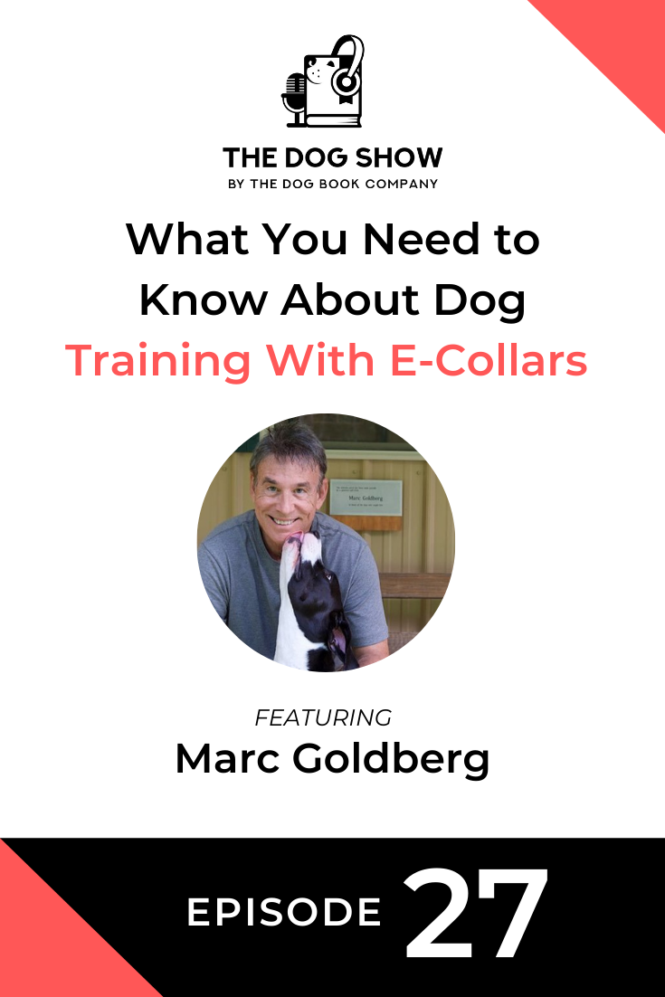 What You Need to Know About Dog Training With E-Collars Featuring Marc Goldberg (Episode 27)