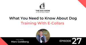 What You Need to Know About Dog Training With E-Collars Featuring Marc Goldberg - Website_Facebook