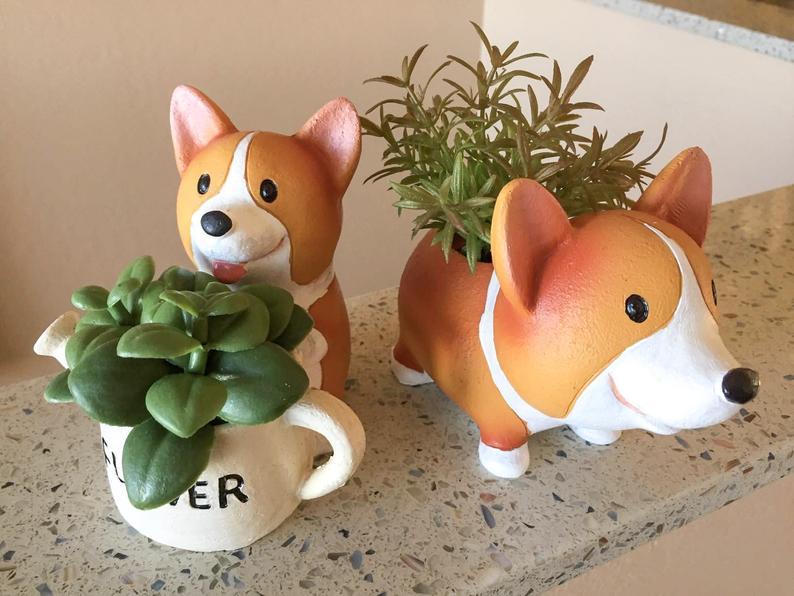 The 12 Best Toys for Corgis to Get Your Little Loaf – Furtropolis