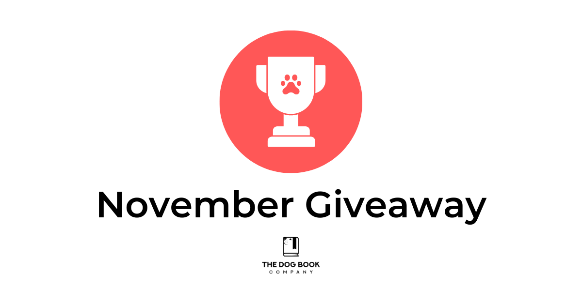 November Giveaway Winner and Charitable Donation