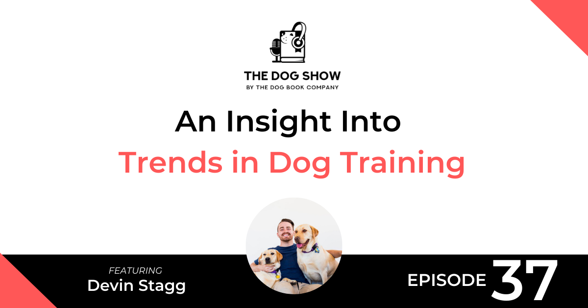 An Insight Into Trends in Dog Training with Devin Stagg