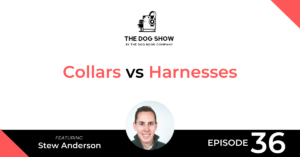 Collars vs Harnesses - A Discussion with Stew Anderson From Beast & Buckle