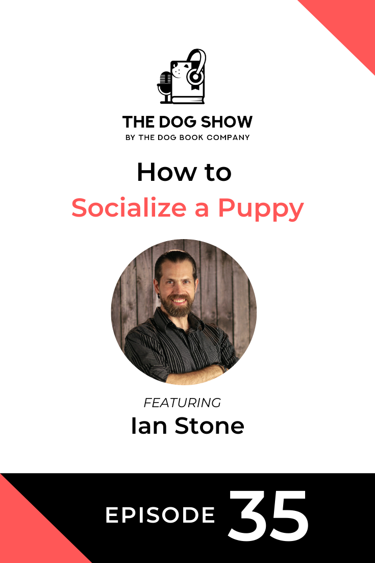 How to Socialize a Puppy with Ian Stone (Episode 35)