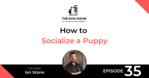 How to Socialize a Puppy with Ian Stone