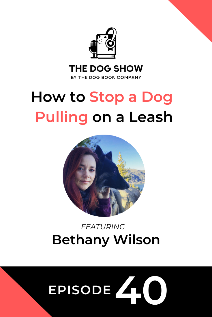 How to Stop a Dog Pulling on a Leash Featuring Bethany Wilson (Episode 40)