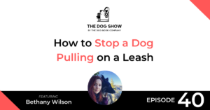 How to Stop a Dog Pulling on a Leash Featuring Bethany Wilson