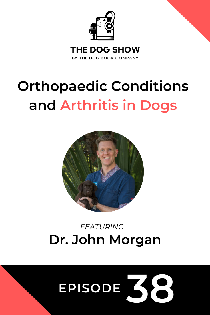 Orthopaedic Conditions and Arthritis in Dogs With Dr. John Morgan (Episode 38)