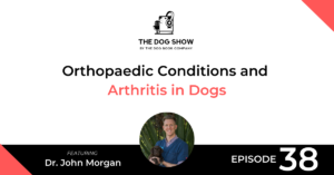 Orthopaedic Conditions and Arthritis in Dogs - Website_Facebook
