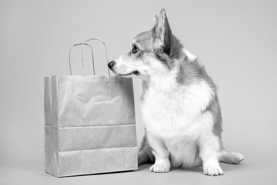 Gifts for shop corgi owners