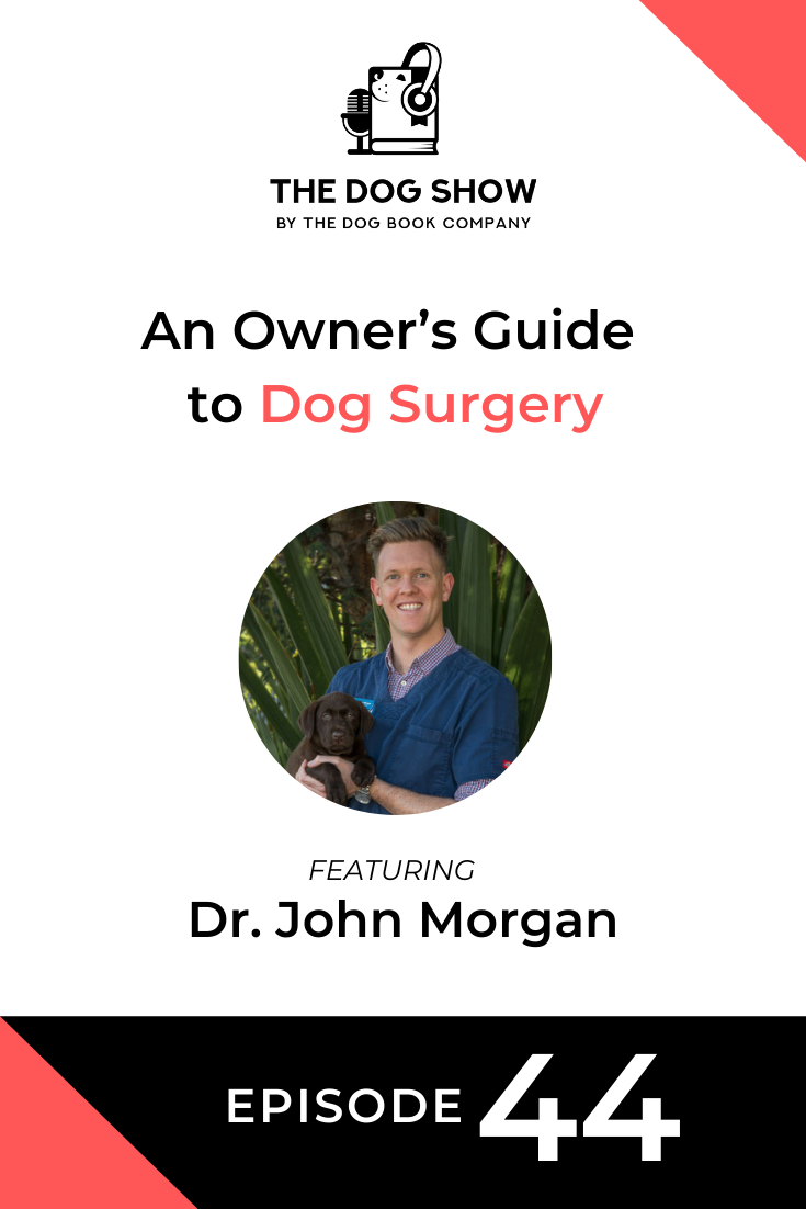 An Owner’s Guide to Dog Surgery - Reasons, Risks, and Preparation Ft. Dr. John Morgan (Episode 44)