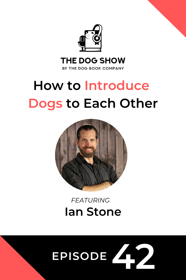 How to Introduce Dogs to Each Other with Ian Stone (Episode 42)