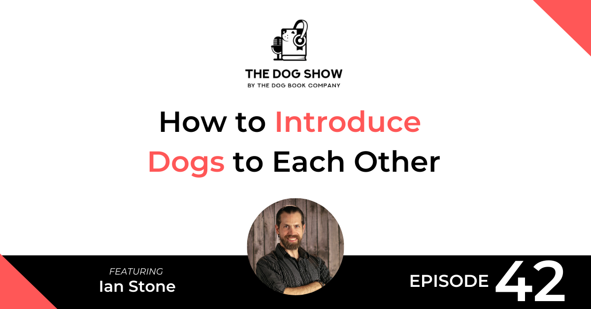 How to Introduce Dogs to Each Other with Ian Stone