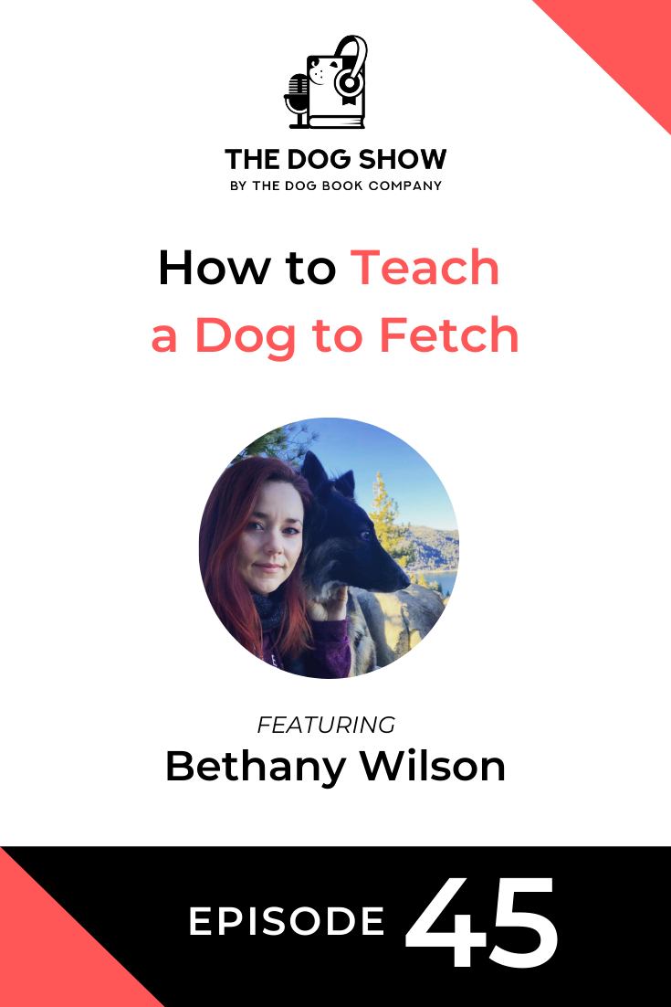 How to Teach a Dog to Fetch with Bethany Wilson (Episode 45)