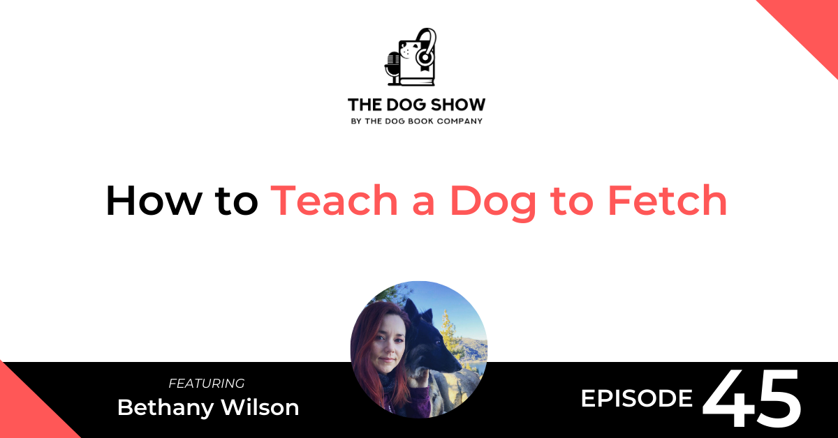 How to Teach a Dog to Fetch with Bethany Wilson - Website_Facebook