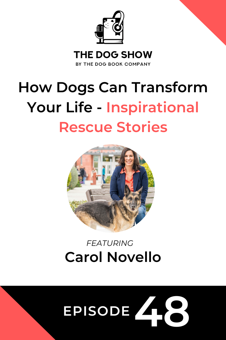 How Dogs Can Transform Your Life - Inspirational Rescue Stories From Carol Novello (Episode 48)