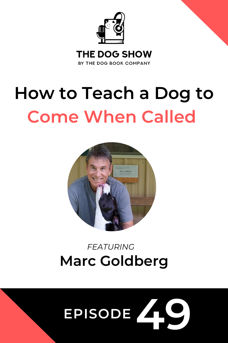 How to Teach a Dog to Come When Called Ft. Marc Goldberg (Episode 49)