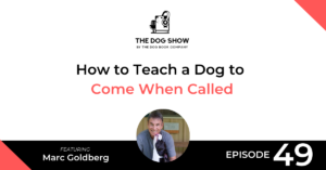 How to Teach a Dog to Come When Called Ft. Marc Goldberg (Episode 49) - Website_Facebook