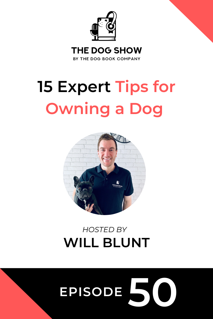 15 Expert Tips for Owning a Dog (Episode 50)