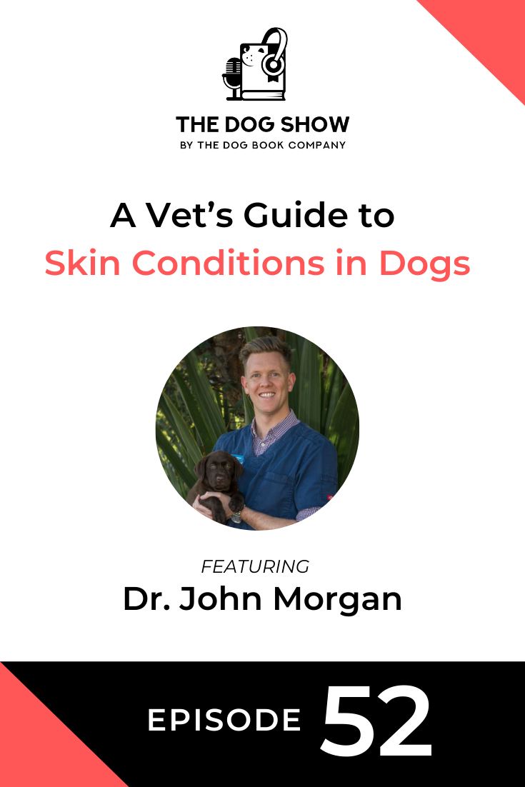 A Vet’s Guide to Skin Conditions in Dogs Ft Dr. John Morgan (Episode 52)