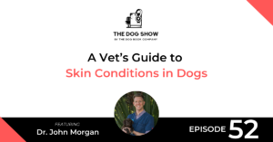 A Vet’s Guide to Skin Conditions in Dogs Ft Dr. John Morgan