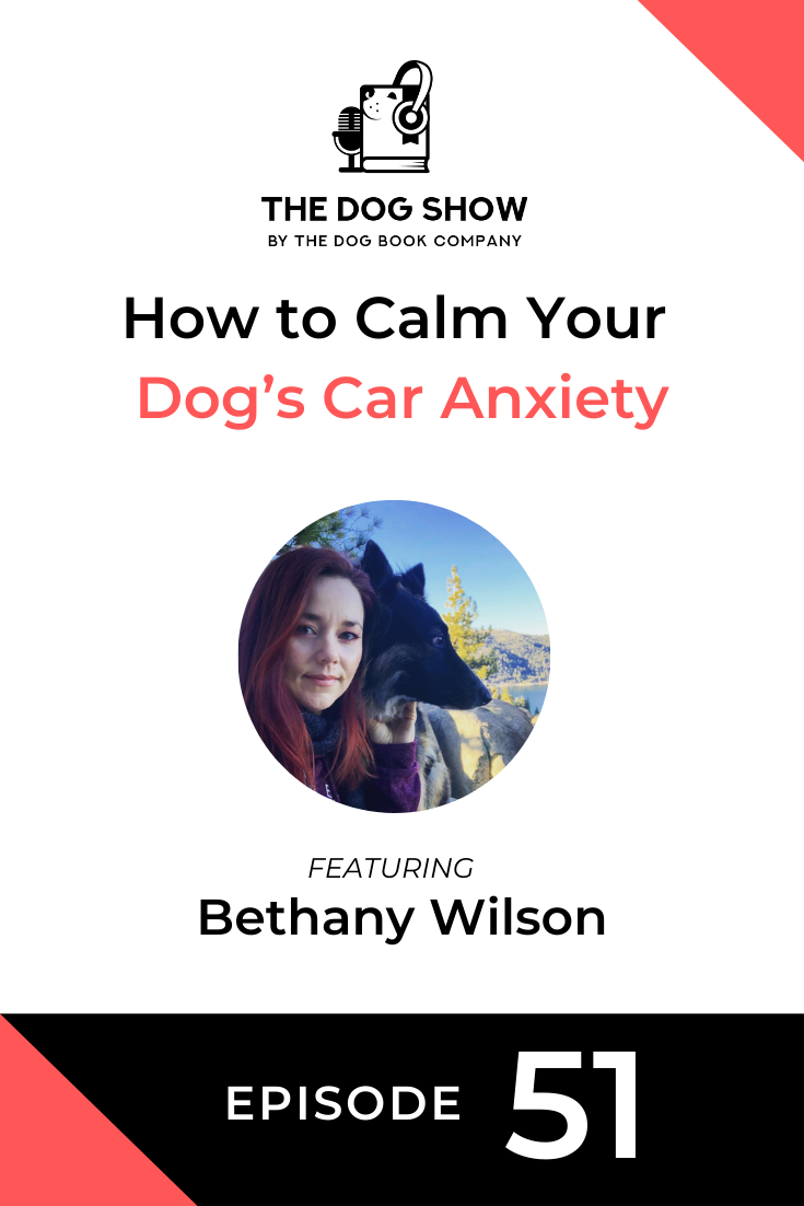 How to Calm Your Dog’s Car Anxiety with Bethany Wilson (Episode 51)