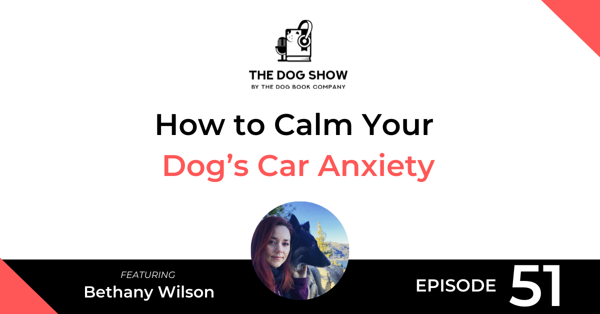 How to Calm Your Dog’s Car Anxiety with Bethany Wilson - WebsiteFacebook