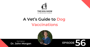 A Vet’s Guide to Dog Vaccinations