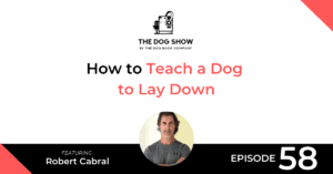 The Dog Show - WebsiteFacebook