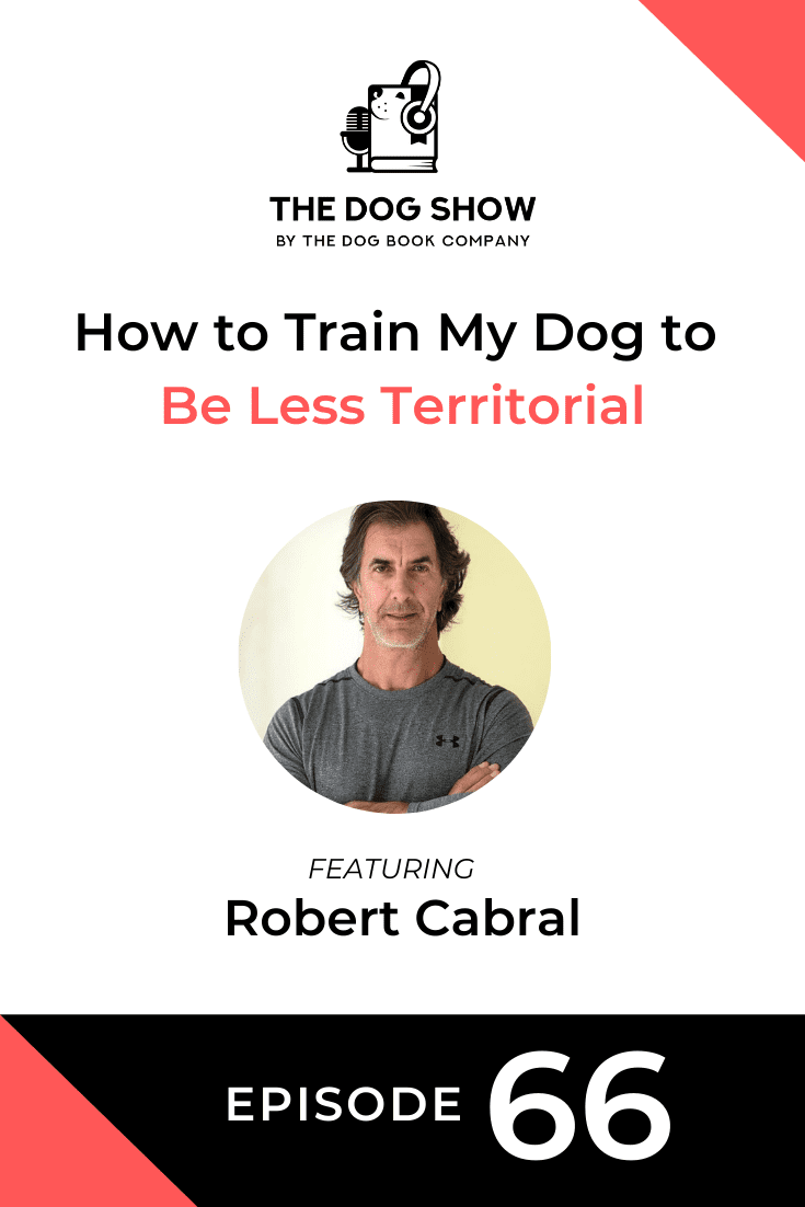 How to Train My Dog to Be Less Territorial with Robert Cabral (Episode 66)