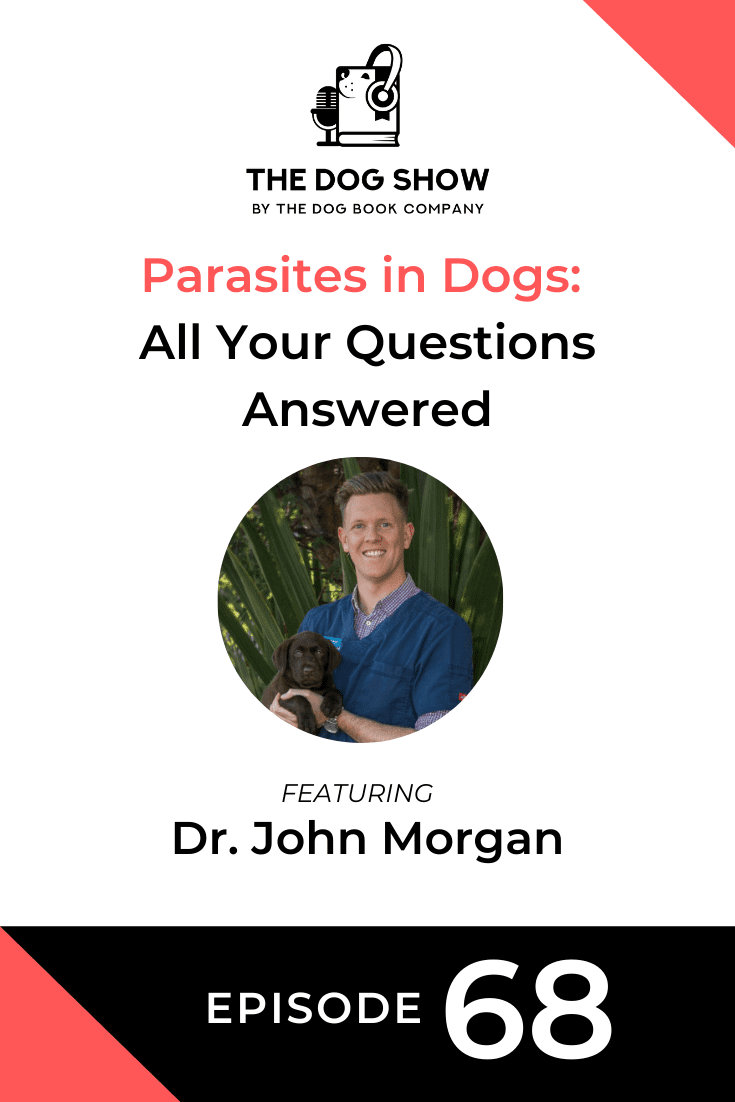 Parasites in Dogs: All Your Questions Answered with Dr. John Morgan (Episode 68)